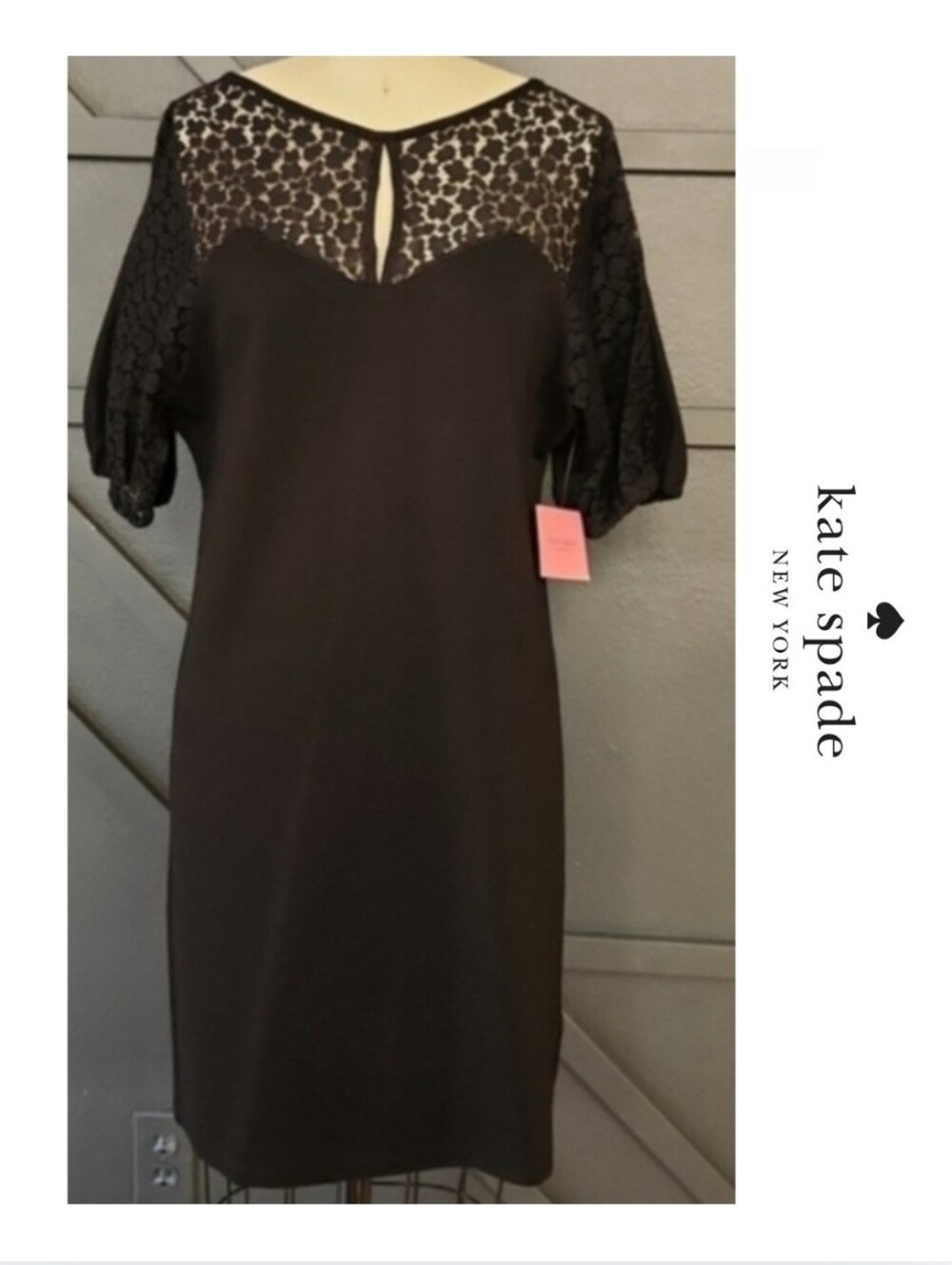 NWT {Kate Spade} Flora Leopard Lace Ponte Dress Black XSmall
